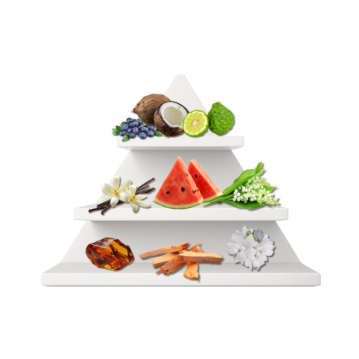 Miami Pulse Duftpyramide